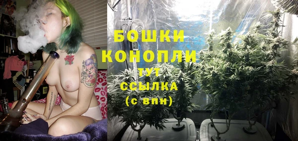 хмурый Вязьма