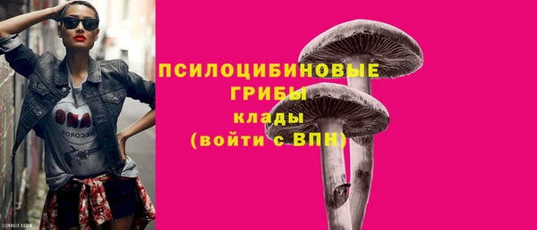а пвп мука Вяземский