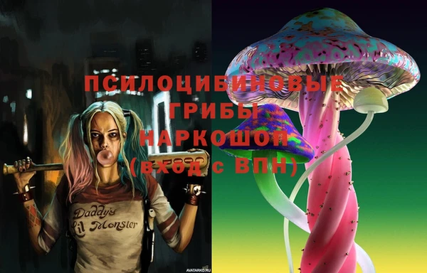 а пвп мука Вяземский